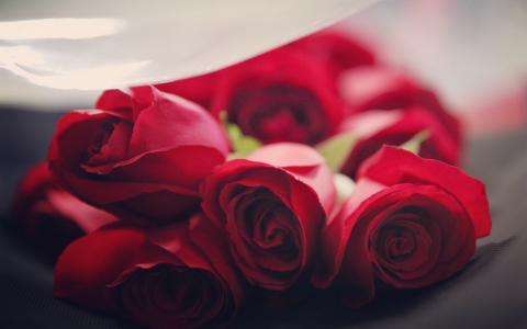 Spend Valentine's Day with your loved one in paradise!