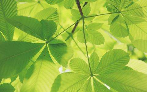 Our commitment to the environment