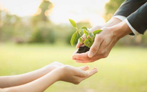 Obtaining the Green Key Certification: A Sustainable Commitment for Le Relais de la Malmaison