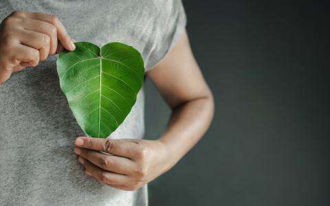 Nos engagements pour l’environnement