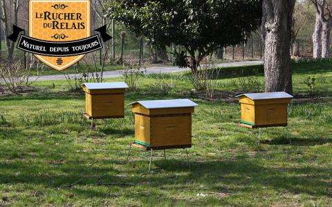 Discover the sweet taste of honey just outside Paris